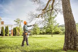 Best Tree Maintenance Programs  in Pembroke, NC